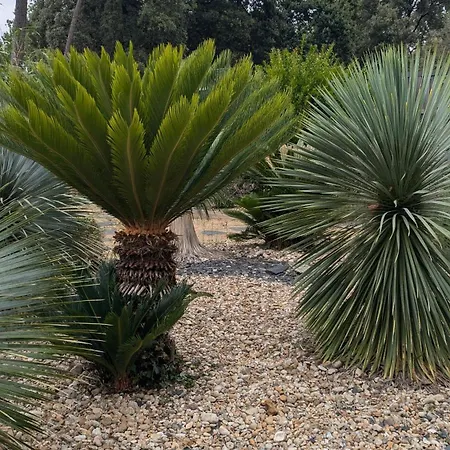 Kabana La Palmeraie- Confort- Detente Assuree - 7 Kms Plages Campsite