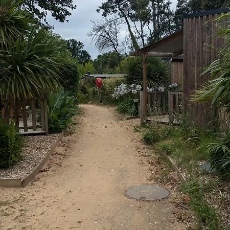 Kabana La Palmeraie- Confort- Detente Assuree - 7 Kms Plages Campsite *